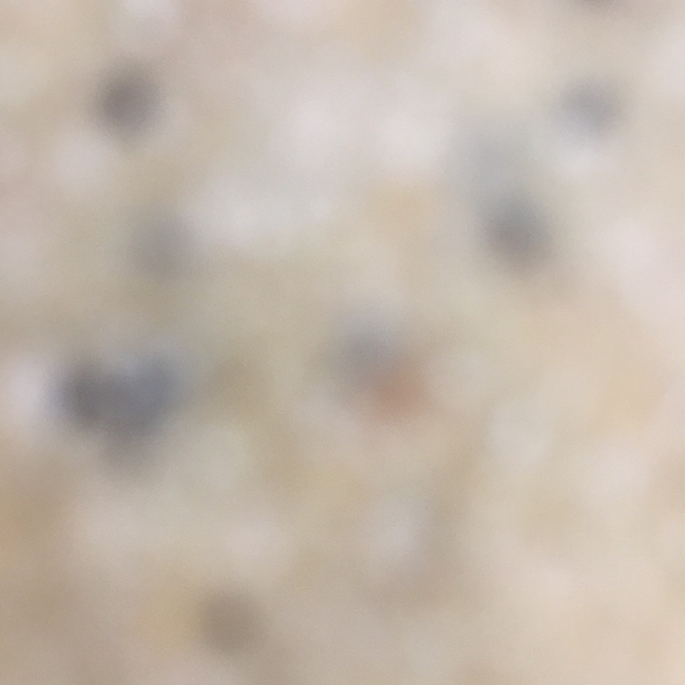 Meet your Posher, Maya